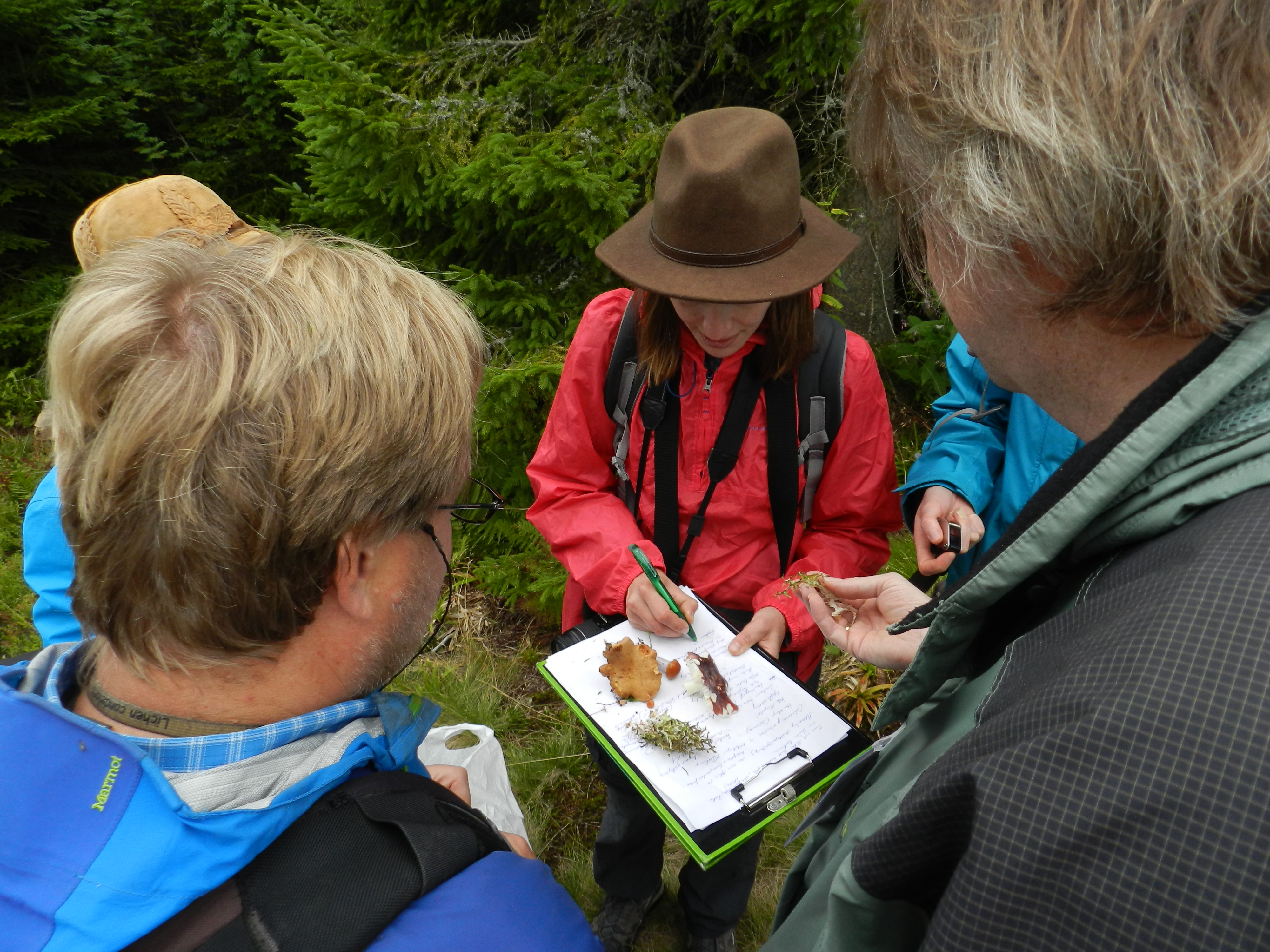 Documenting fungal findings